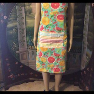 Apron Colorful Fruit and Stripes with Halter Bib